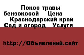 Покос травы бензокосой  › Цена ­ 100 - Краснодарский край Сад и огород » Услуги   